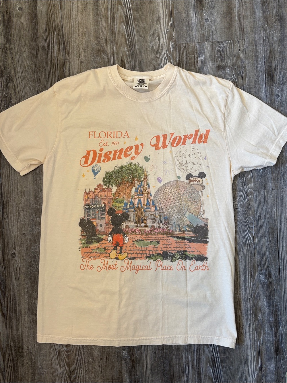 Comfort Colors Disney World t-shirt